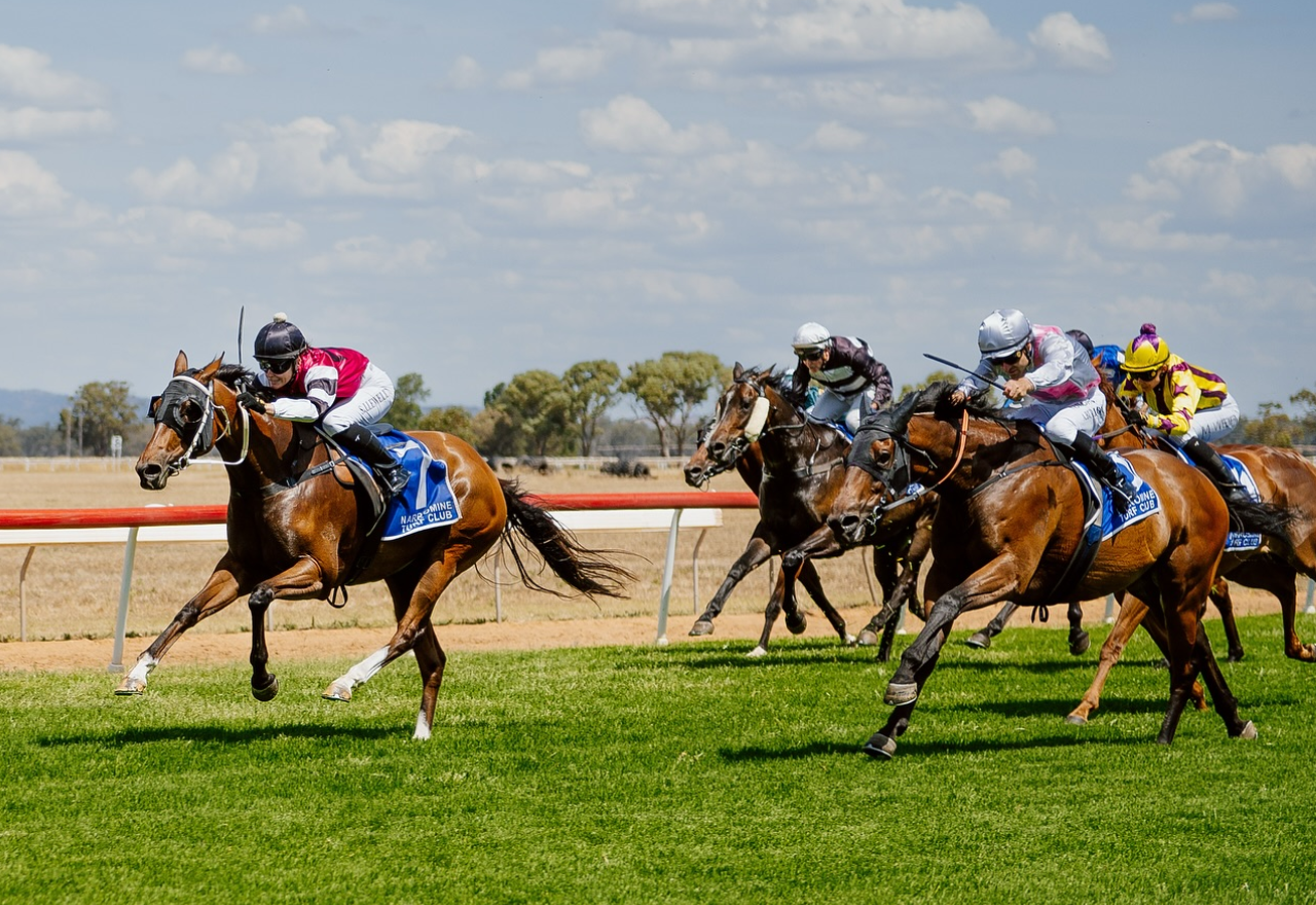 Big day for Clayton Gallagher at Narromine