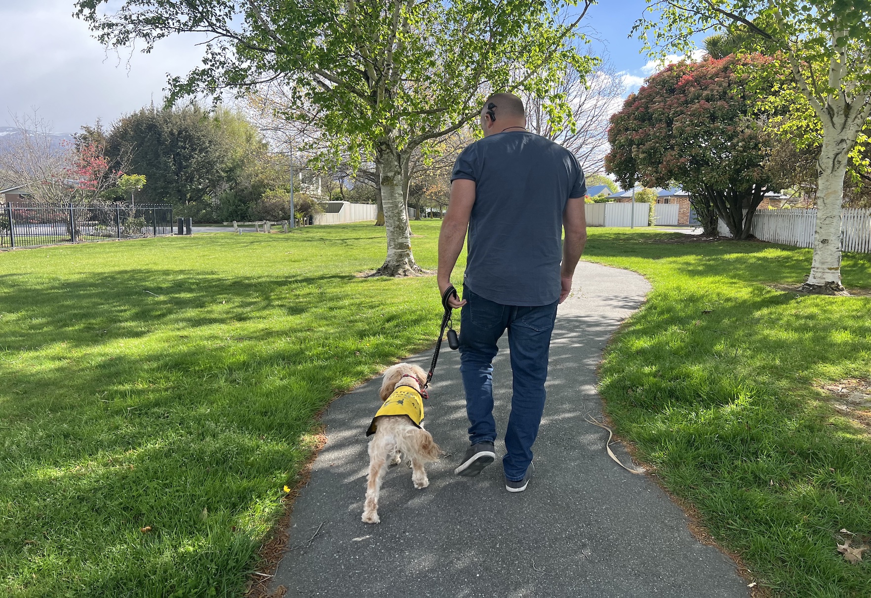 Cruz the hearing dog on duty in Cromwell