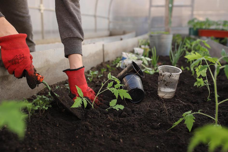 Free south coast sustainability workshops