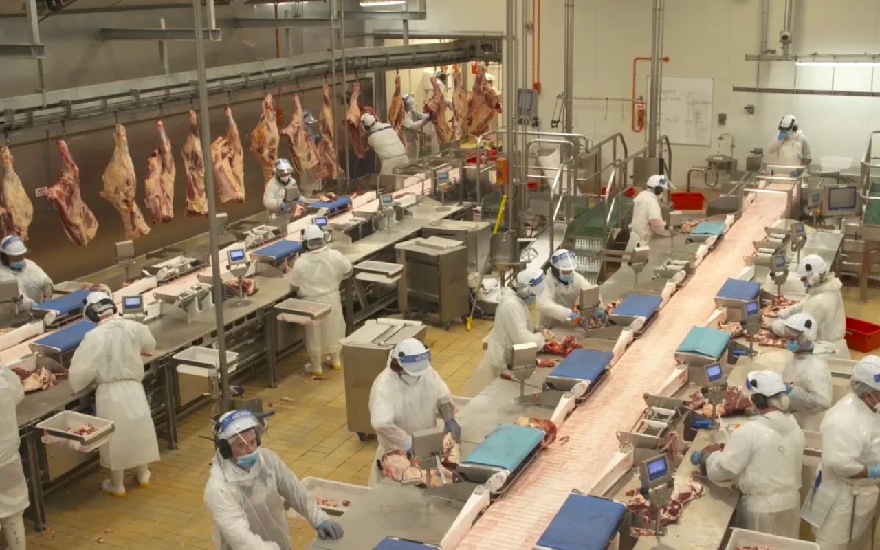 Alliance farmers vote yes on $270m deal with Dawn Meats