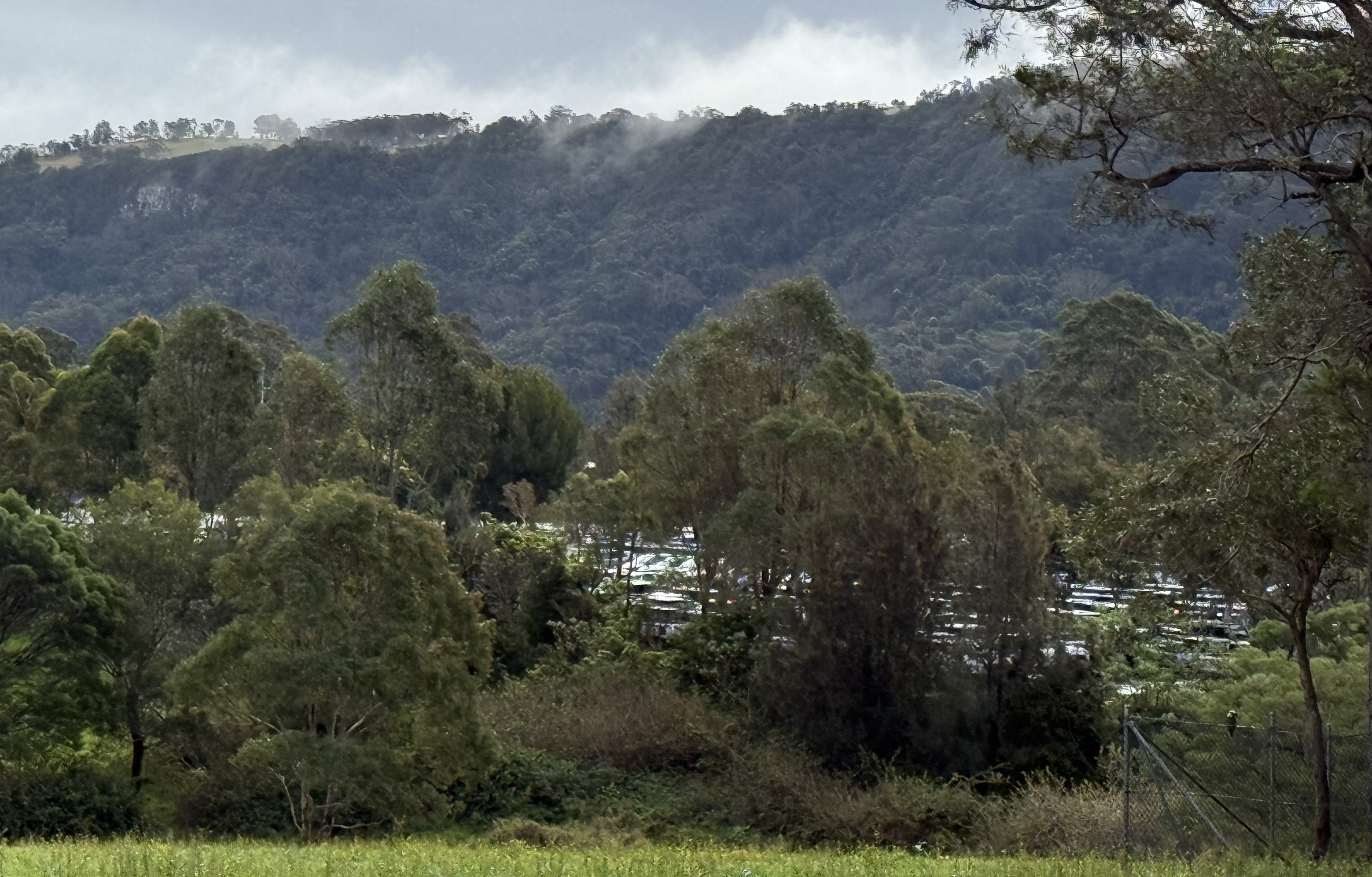Council rejects Jamberoo Action Park's DA over imported cars