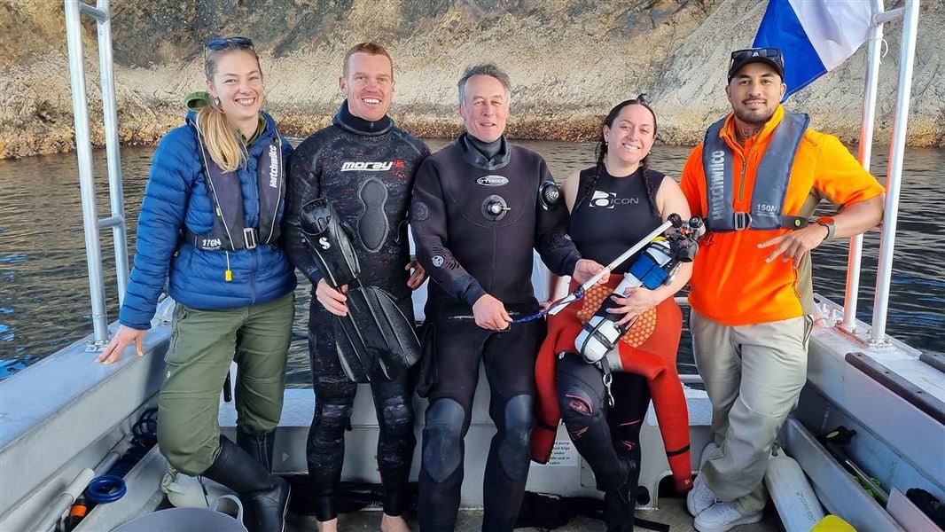 DOC Launches New Hauraki Gulf Protections