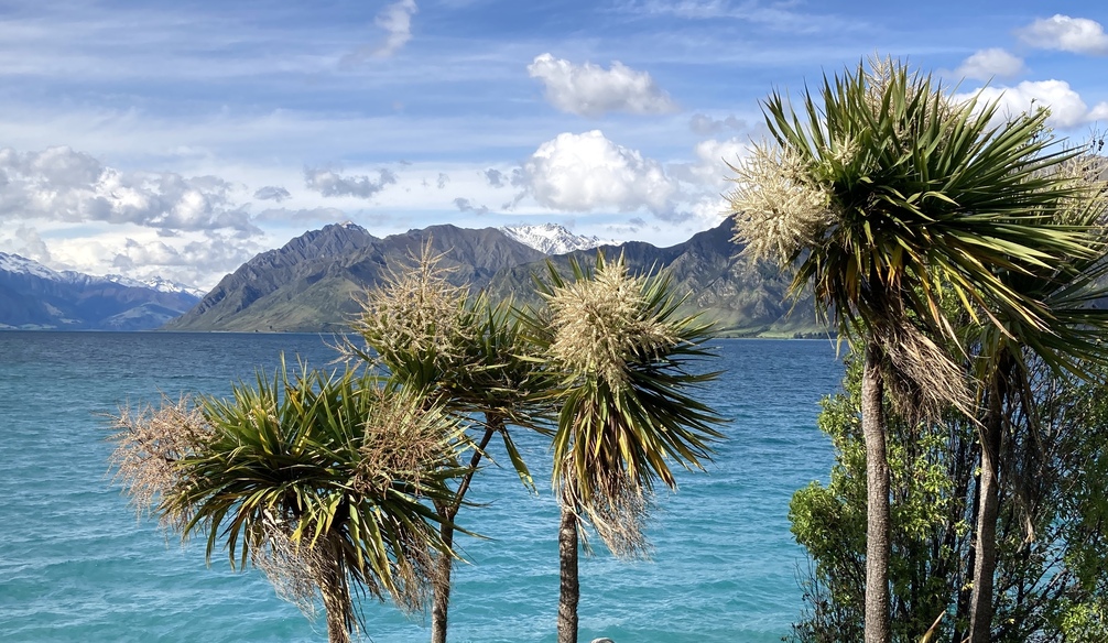 Contact Energy ‘moving on’ after rejected proposal