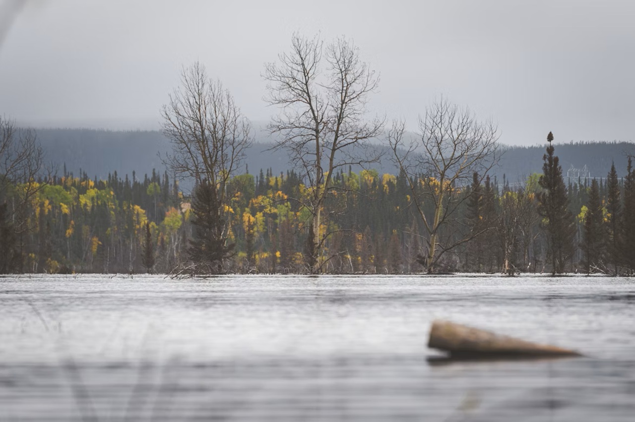 High River Watch