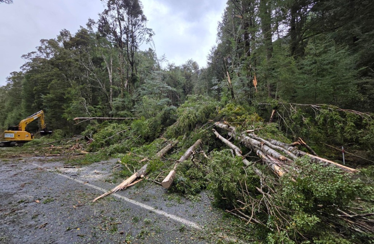 Multiple Treefalls, Slips and Flooding for Milford Road