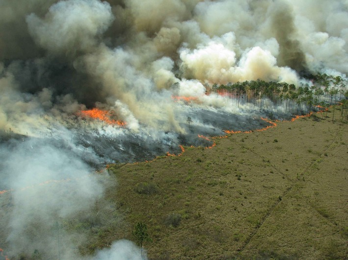 Prescribed burn at Talisker Conservation Park