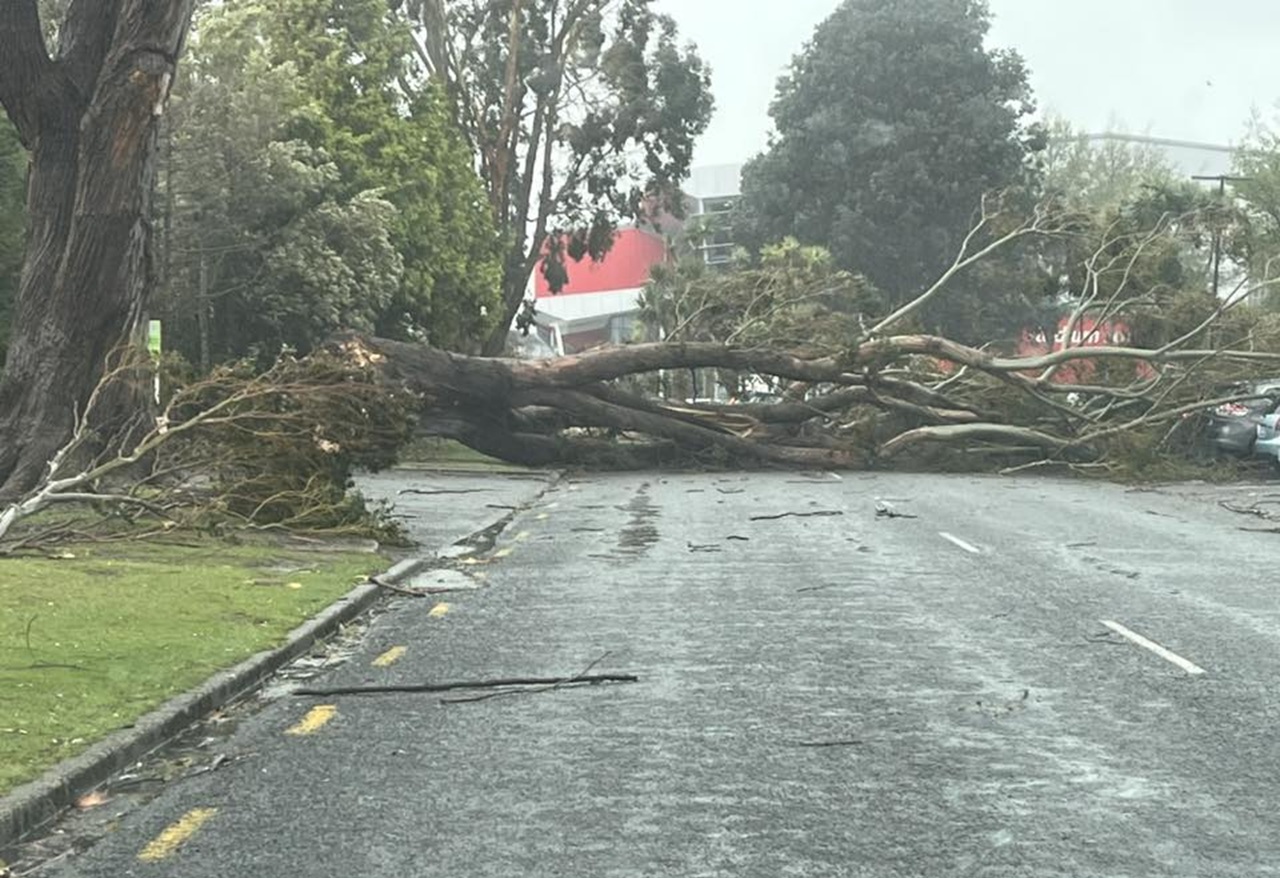 Southland Gets Slammed With Winds Topping 169km/hr - Roads Slowly Reopen, Hundreds Still Without Power