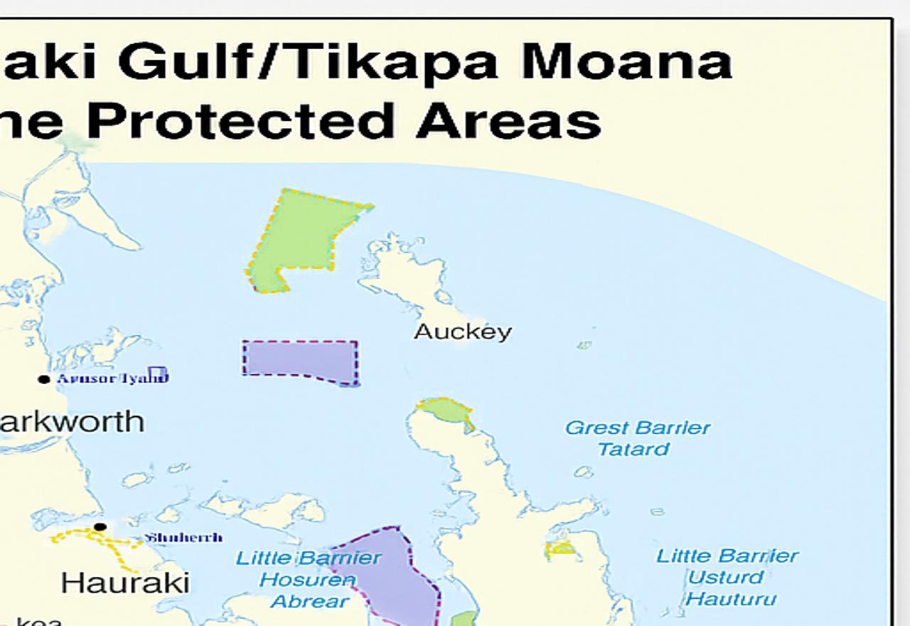 New Era for Fishing in Aotearoa: What the October 2025 Rule Changes Mean for Fishers and the Environment