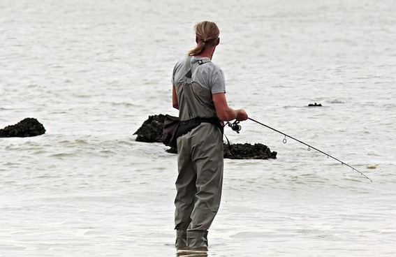 Algal bloom fishing restrictions come in