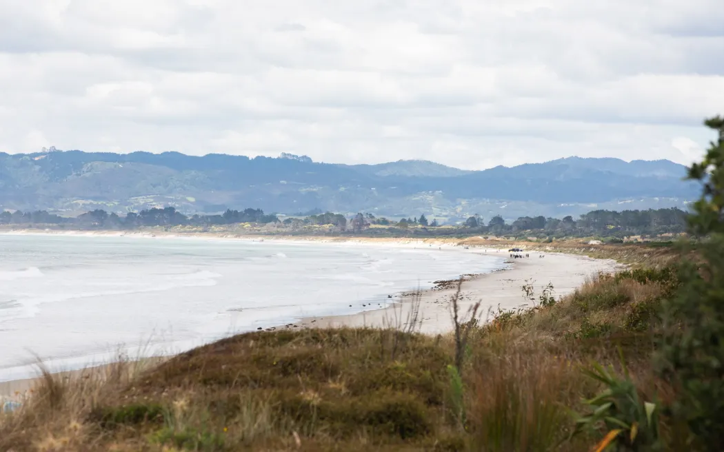 Thousands expected to attempt Guiness World Record for sand sculpture building in Ruakaka
