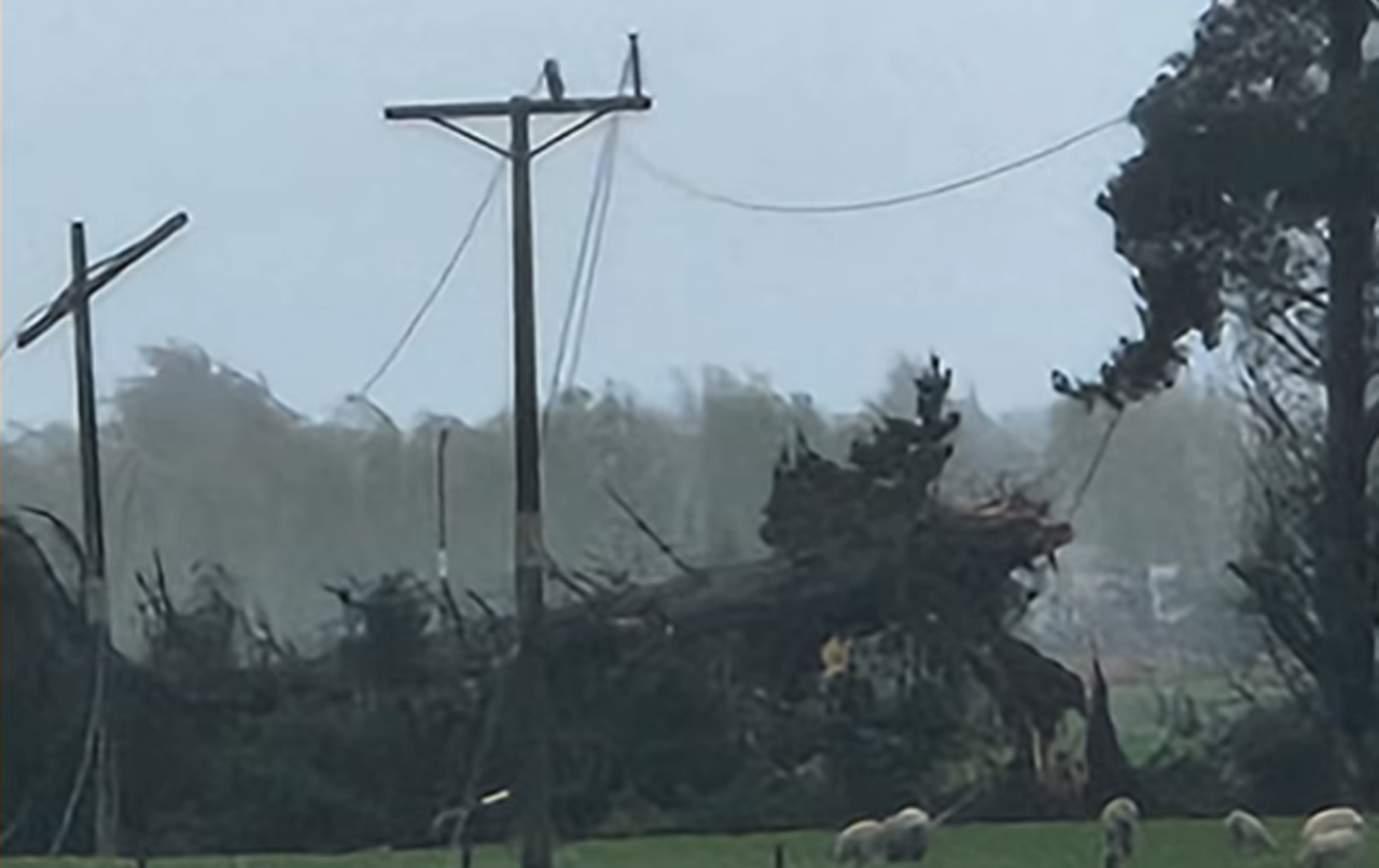 8750 households remain without power - reconnection still days away for some