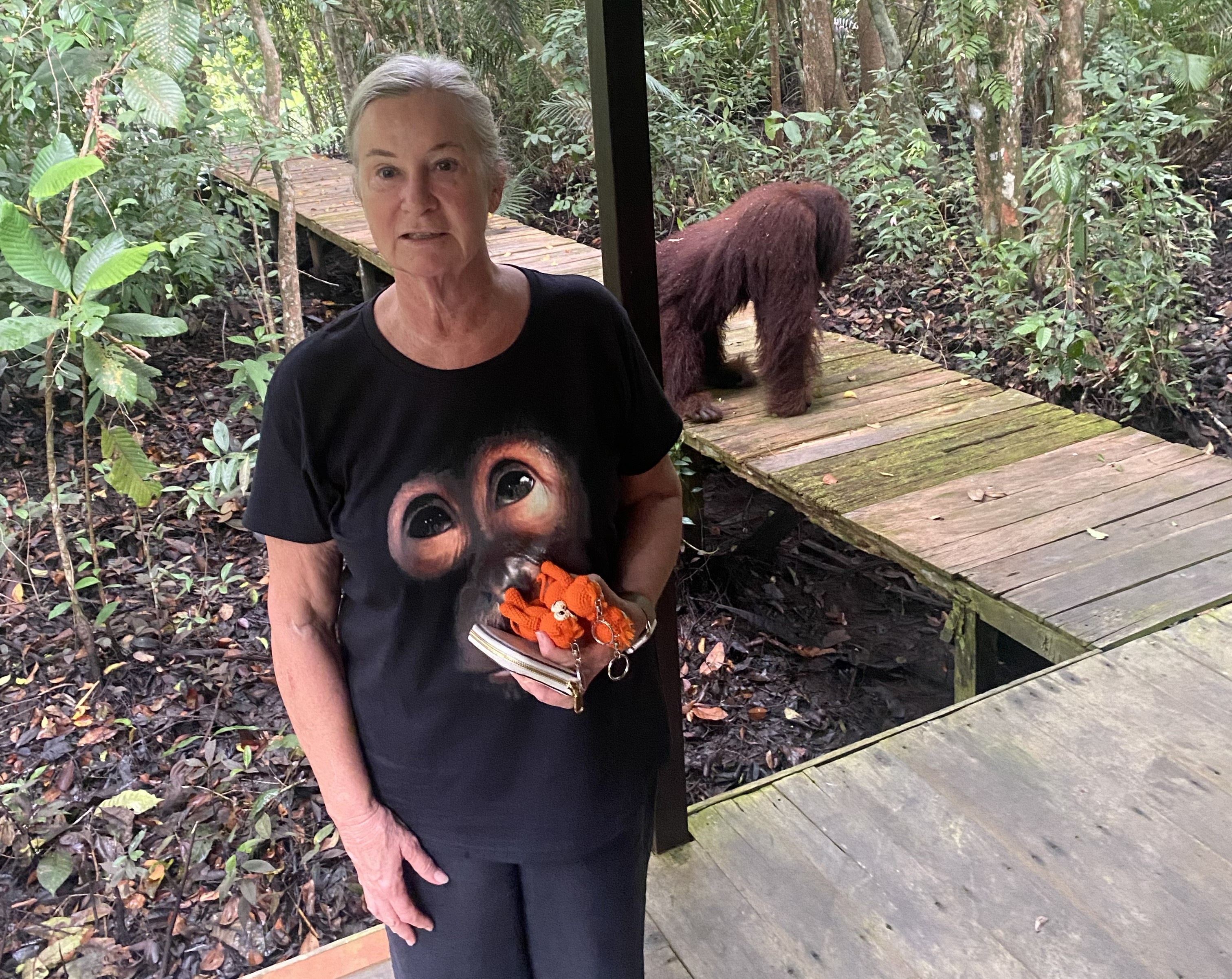 Kiama fundraiser aims to rehome orangutans and save rainforest