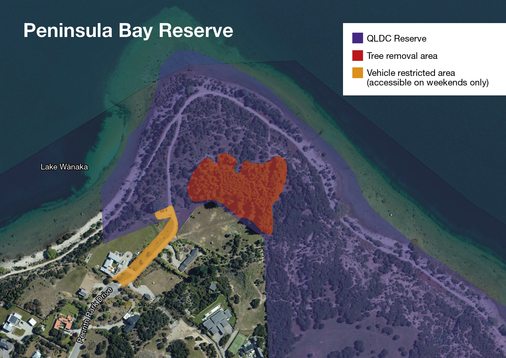 Regeneration project planned for Peninsula Bay Reserve