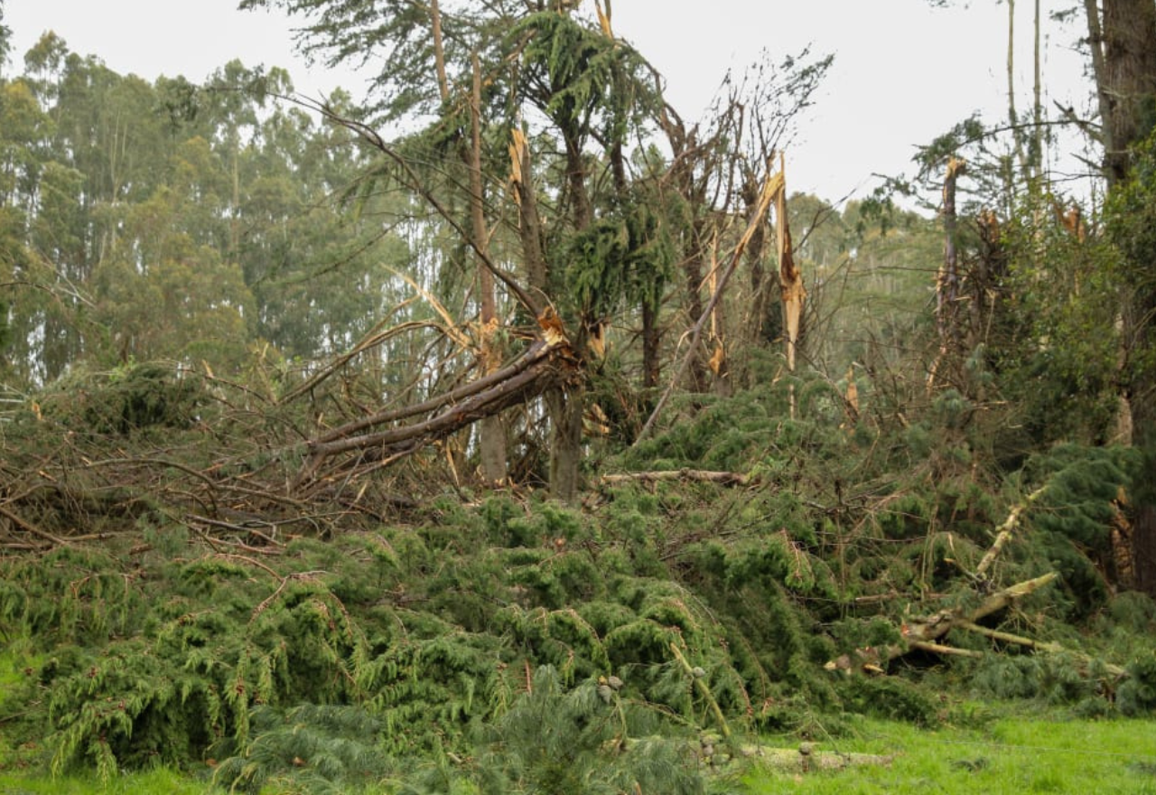 'Took everyone by surprise': Southland mayor says storm escalated quickly