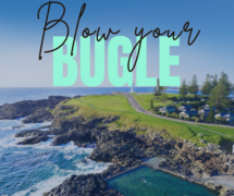 Open Letter: Kiama Markets, KBN and Council cccountability