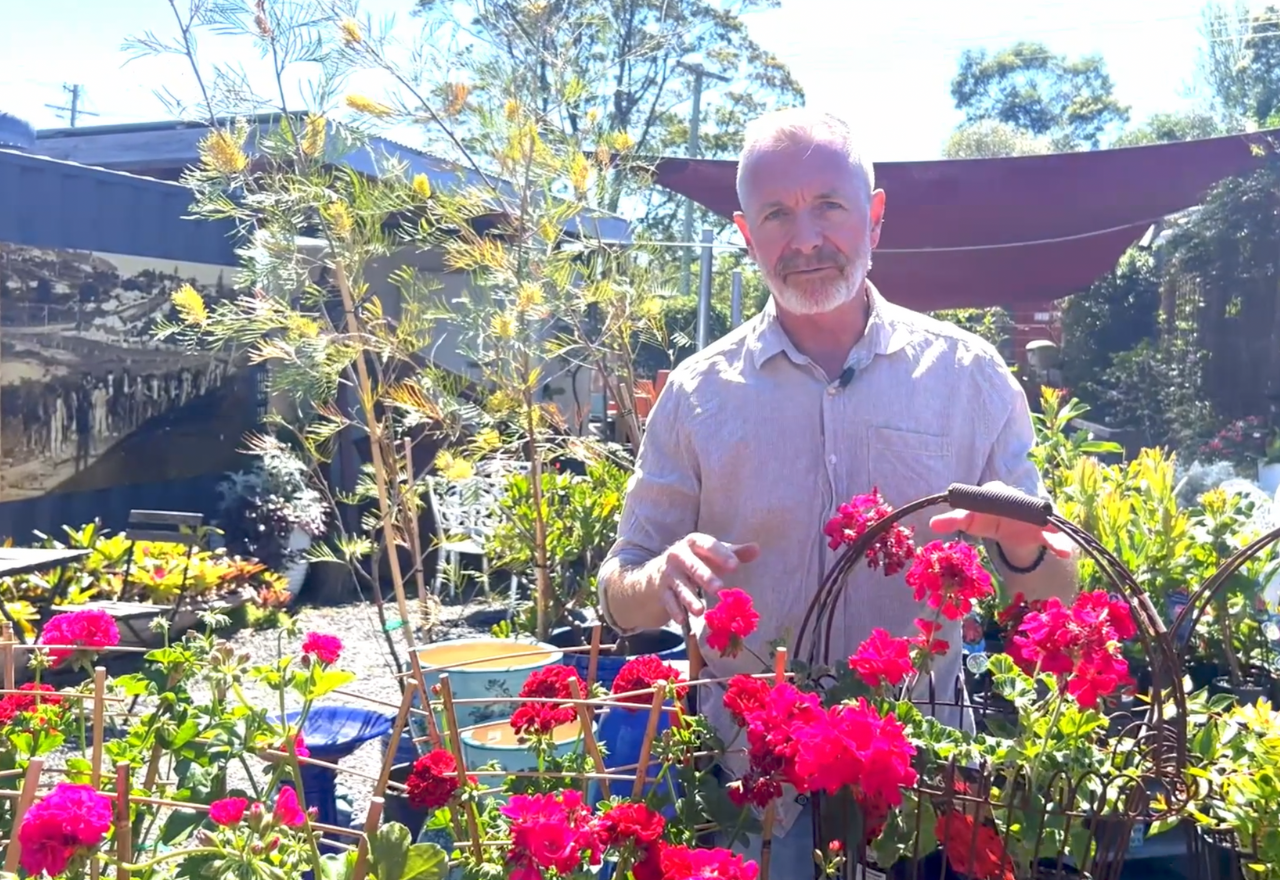 Grow with John Gabriele: Gorgeous garden classics for the warm months ahead