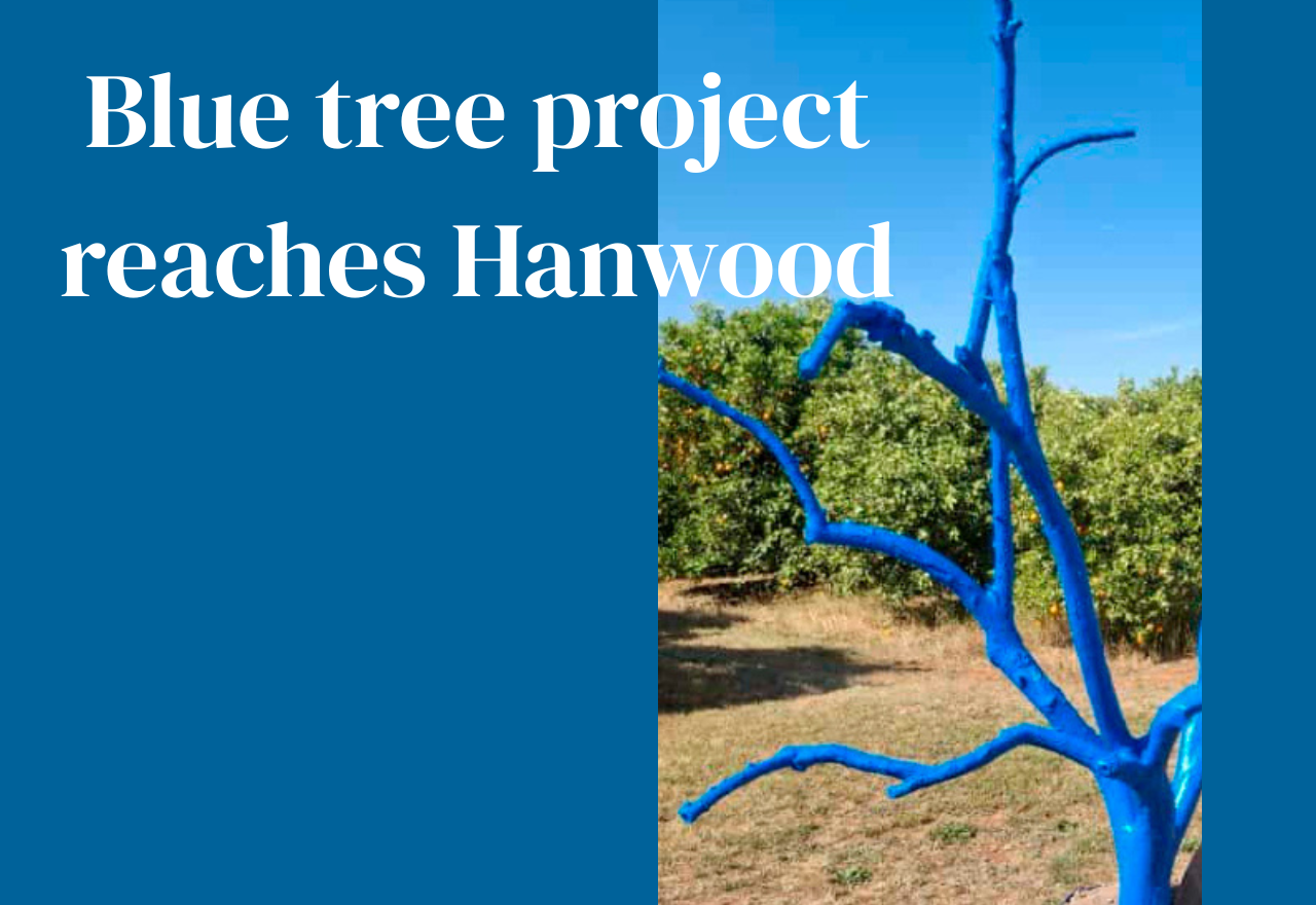 Blue tree project reaches Hanwood