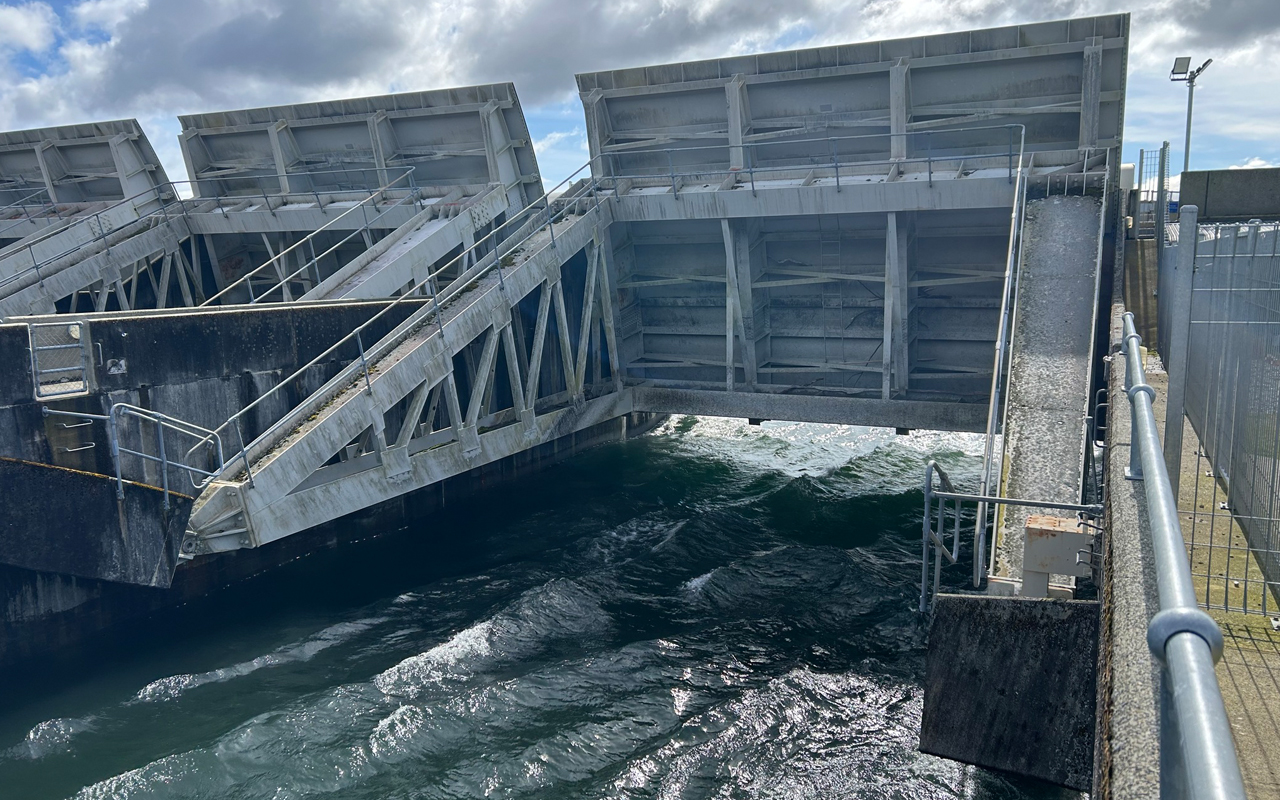 Fiordland lake levels at record highs