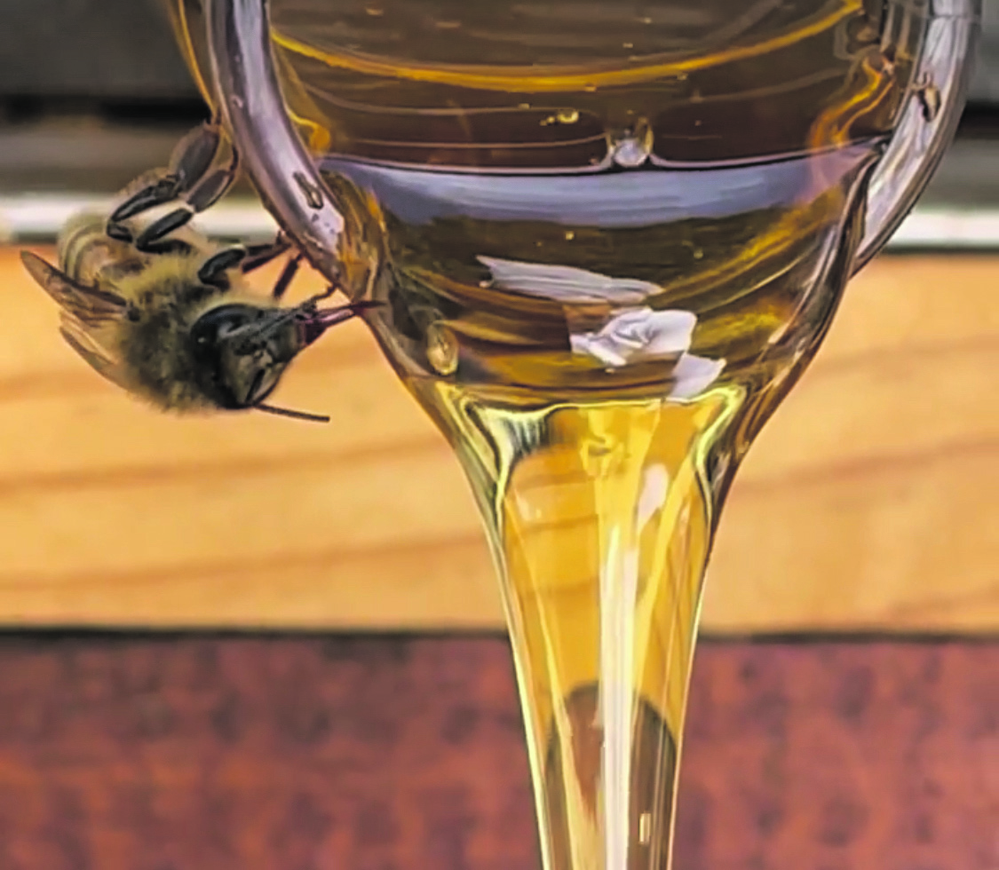 Nuances of nectar: Bee inspired to learn about honey