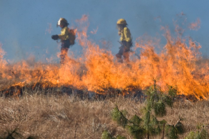 Be ‘Bushfire Ready’ ahead of Fire Danger Season