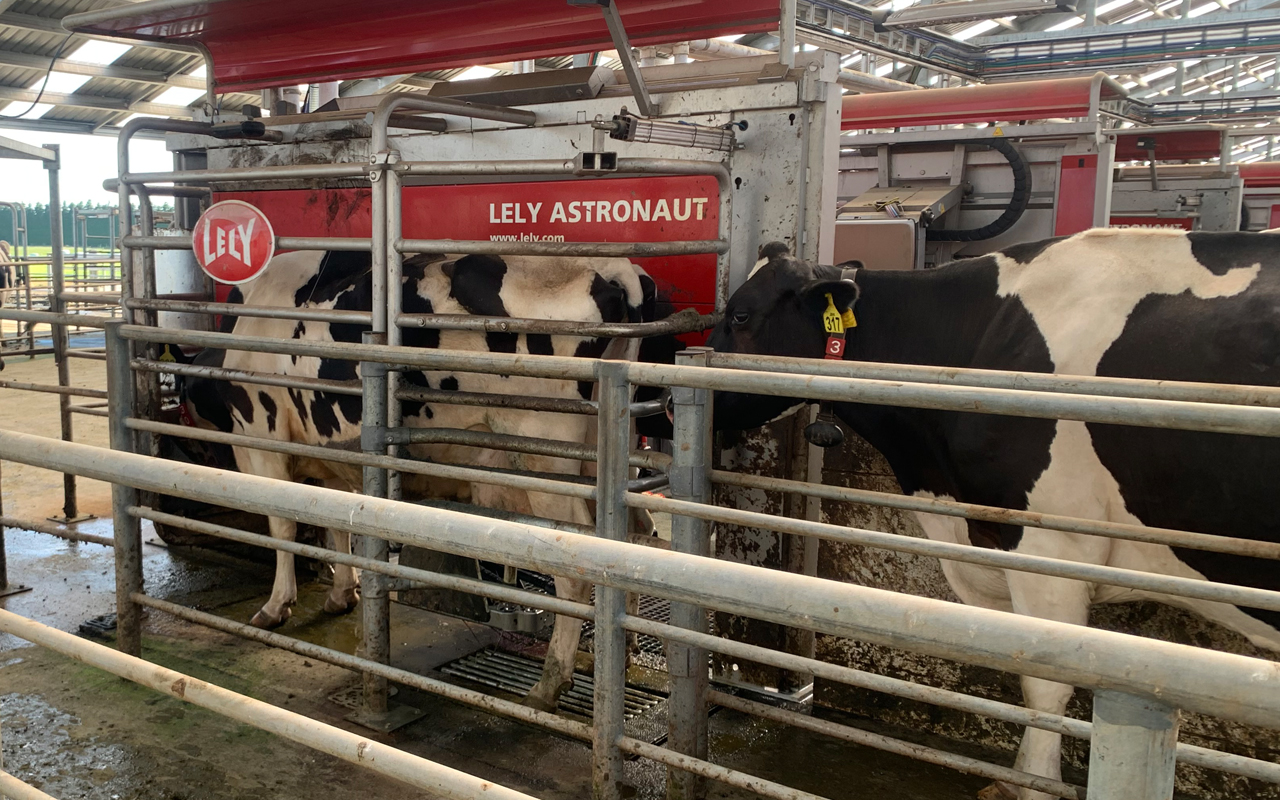 How a Dacre dairy farmer powered through a storm