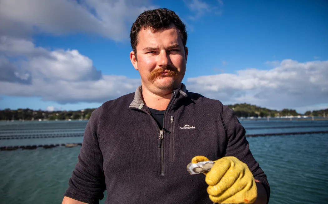 Mahurangi oyster farmers despair