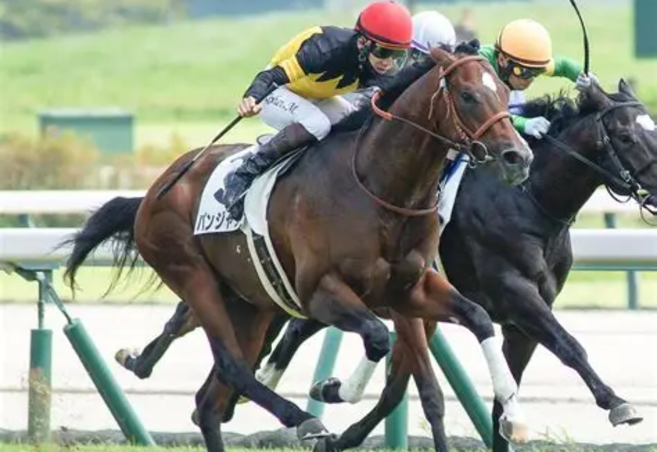 "He's a real fighter" - Nyngan boy gets a lift from today's big race