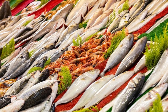Dining Cashback extended to seafood retailers 