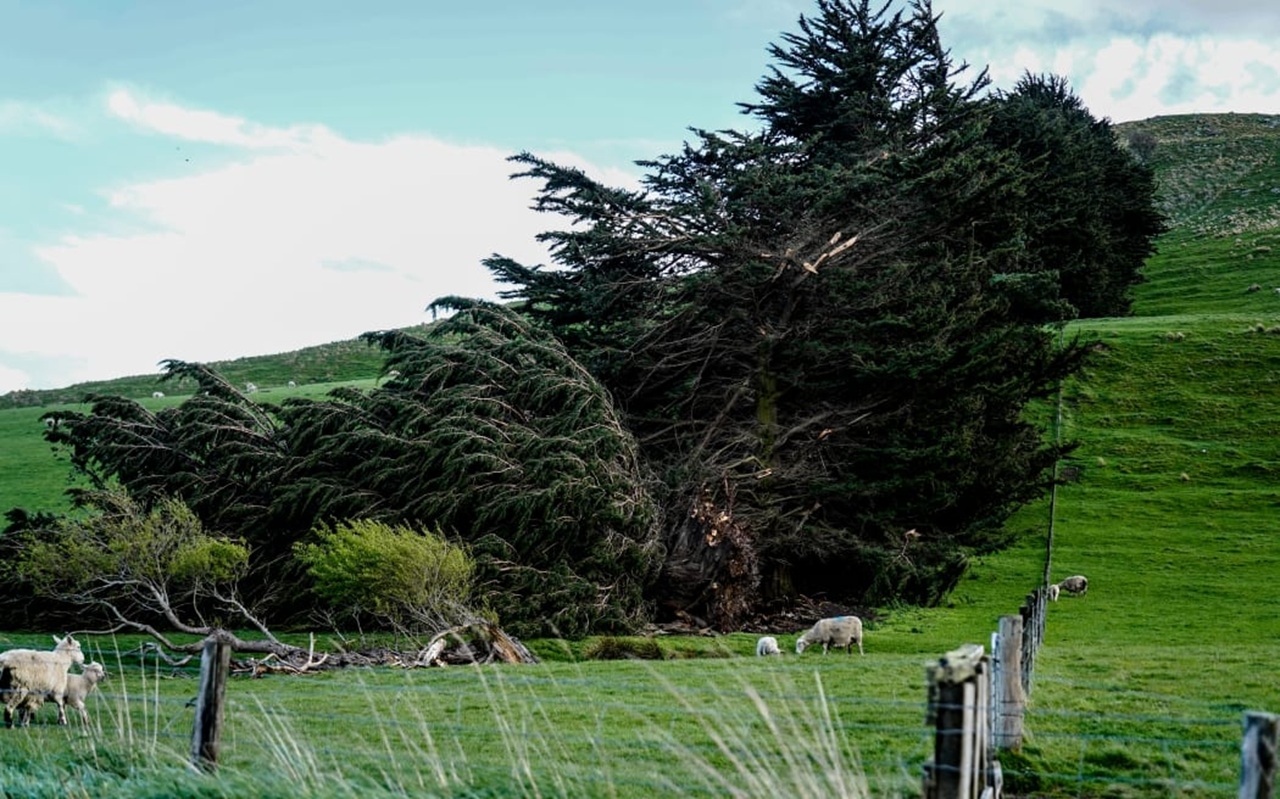 Rural Southland communities band together after destructive storm