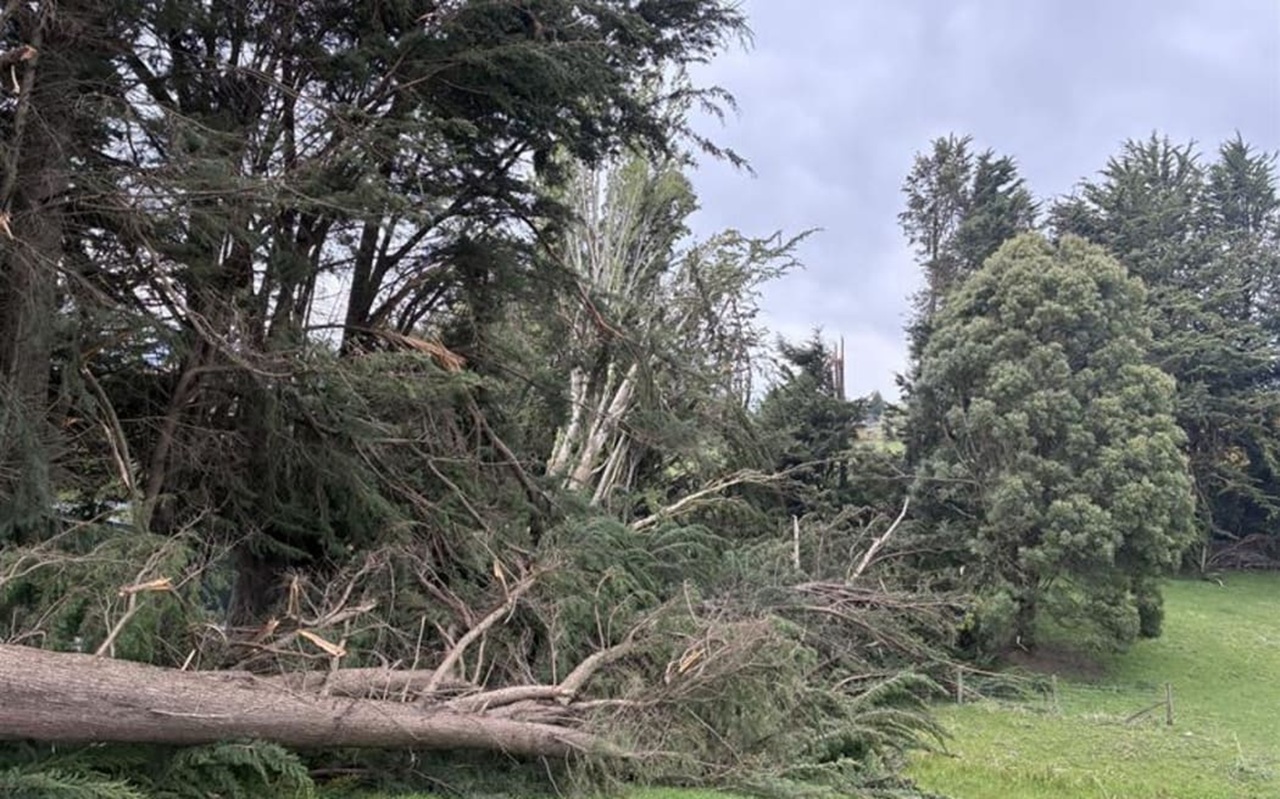 More than 300 Southland, South Otago residents still without power