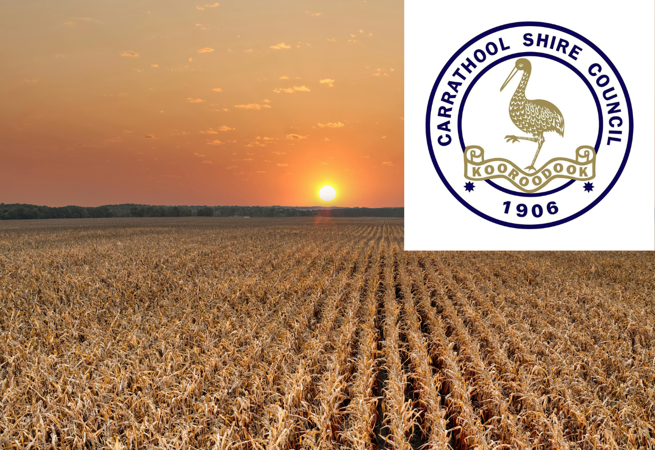 Carrathool Shire Council addresses water supply and infrastructure at October meeting