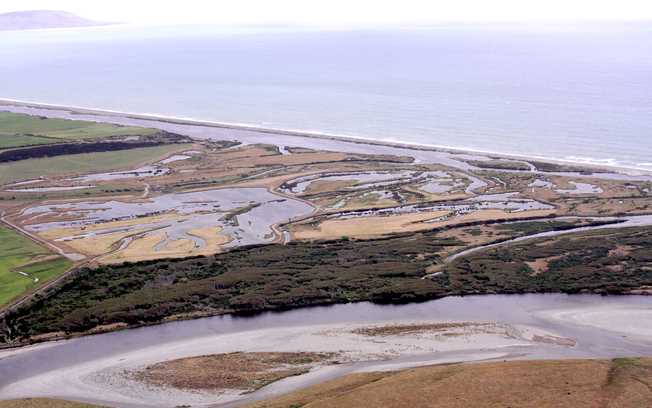 Two caught illegally whitebaiting at Waiau Mouth