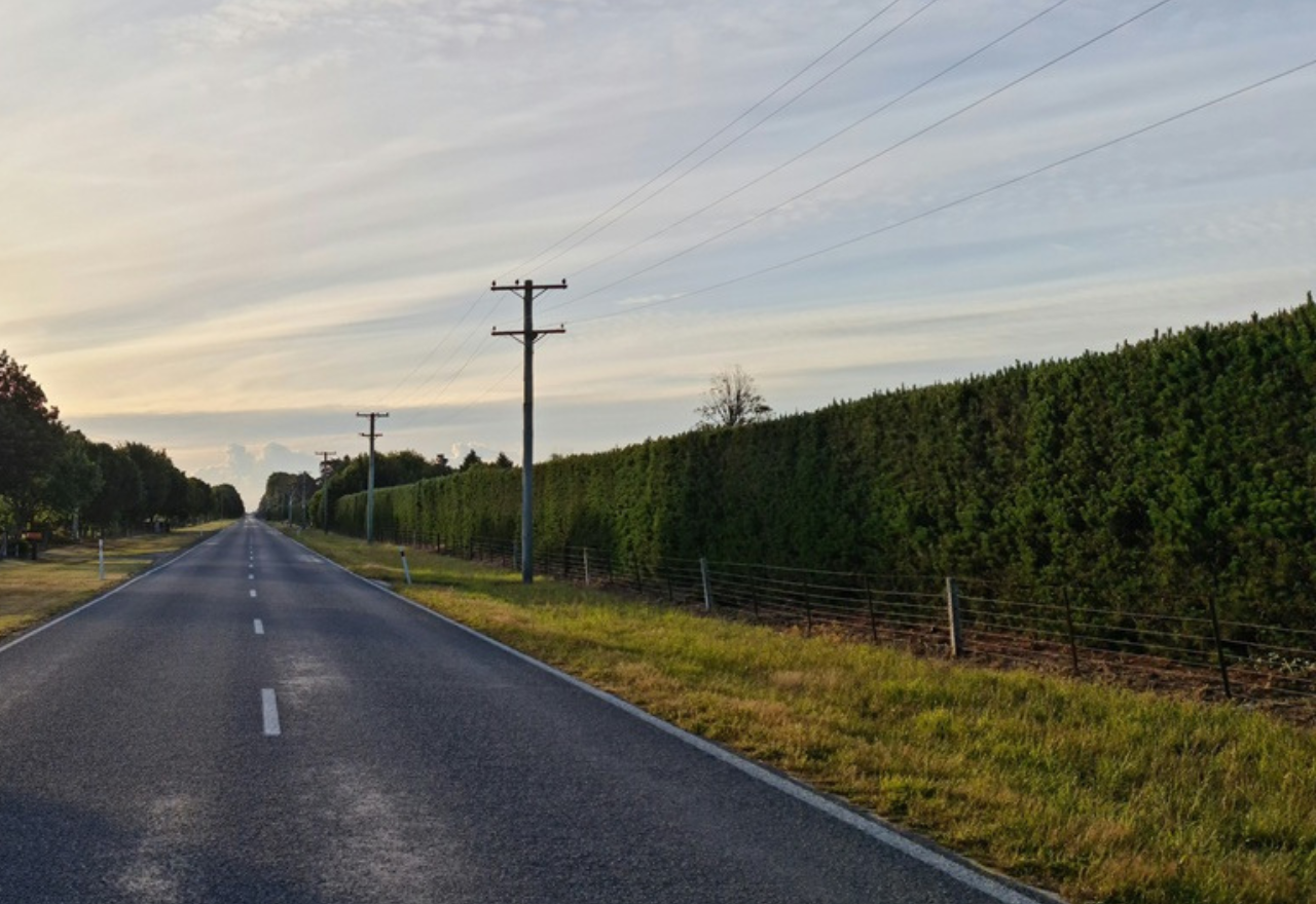 SH6 reopens after hedge fire on roadside