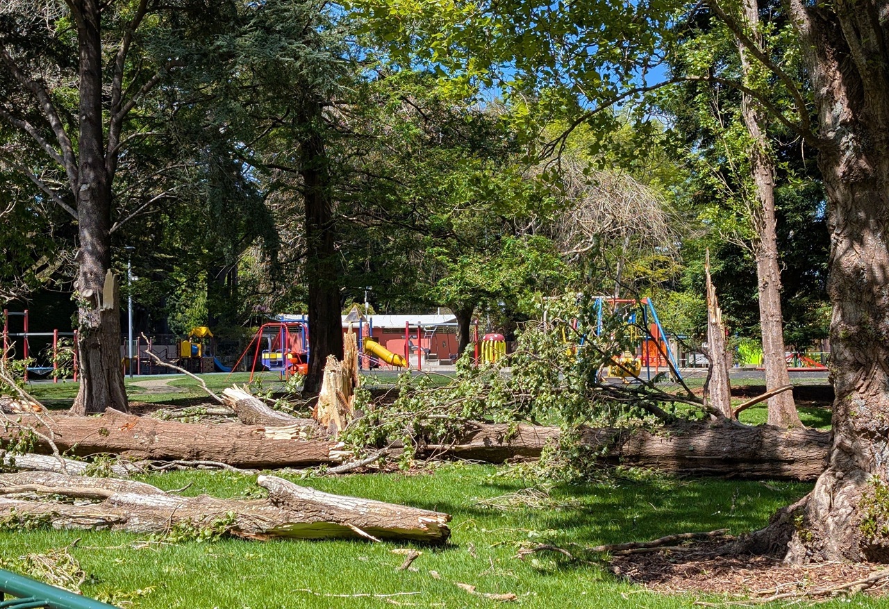 Southland enters its recovery phase