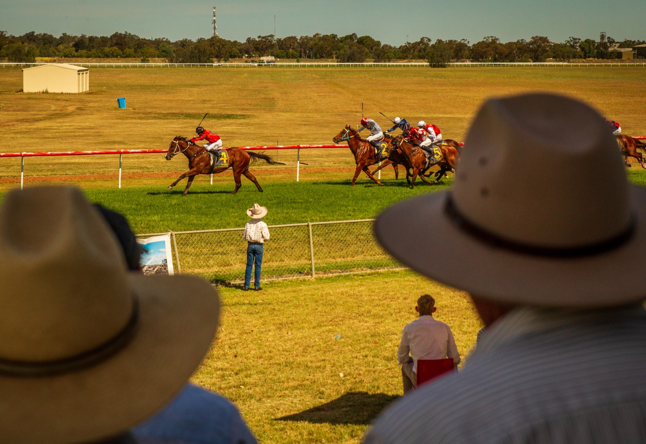 Warren's Cotton Cup is calling