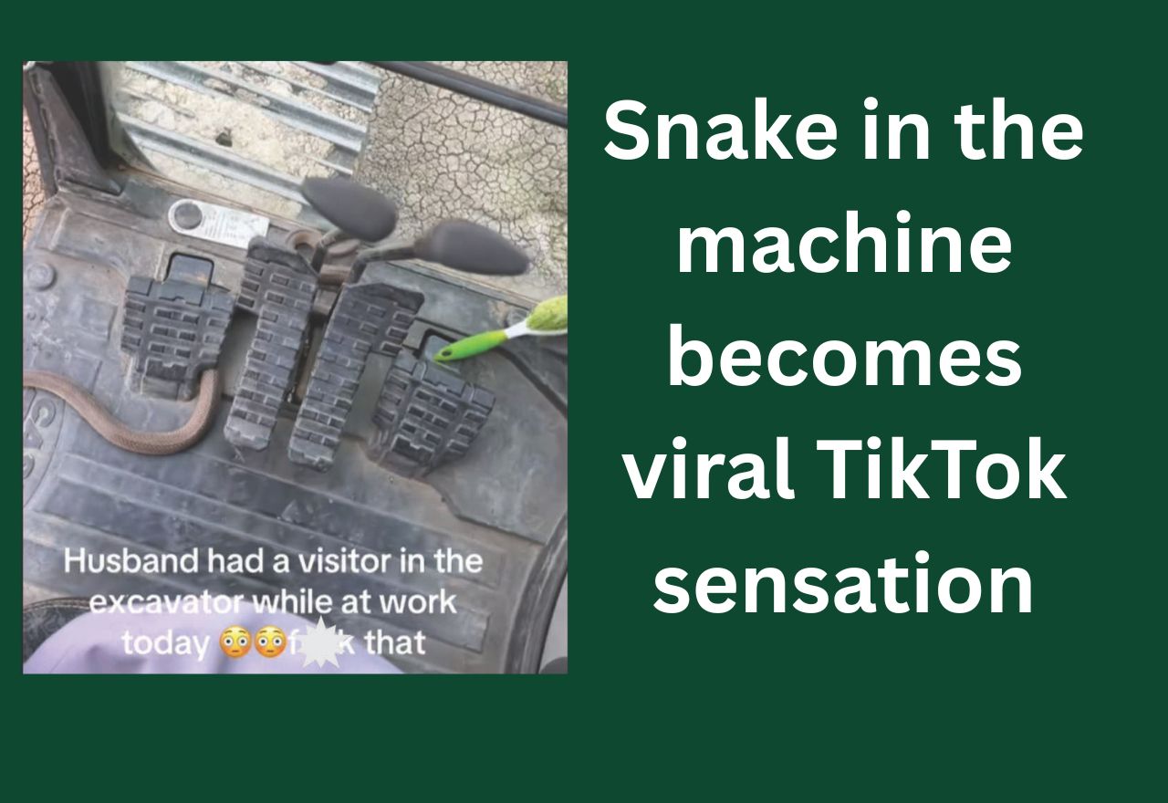 Snake in the machine: Hay man's terrifying co-pilot becomes a viral TikTok sensation