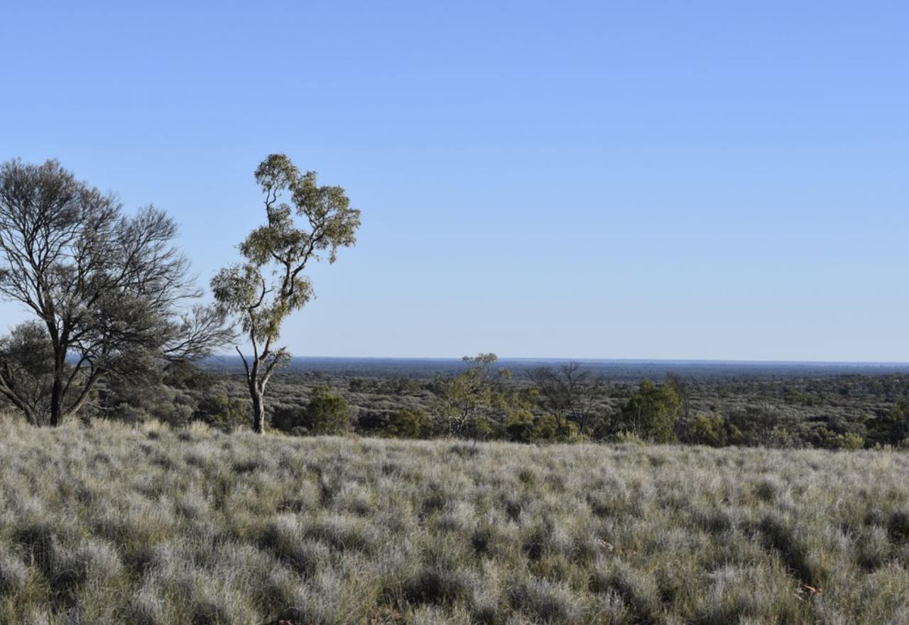  ''Overwhelming discontent": Survey results on western NSW National Parks land purchases