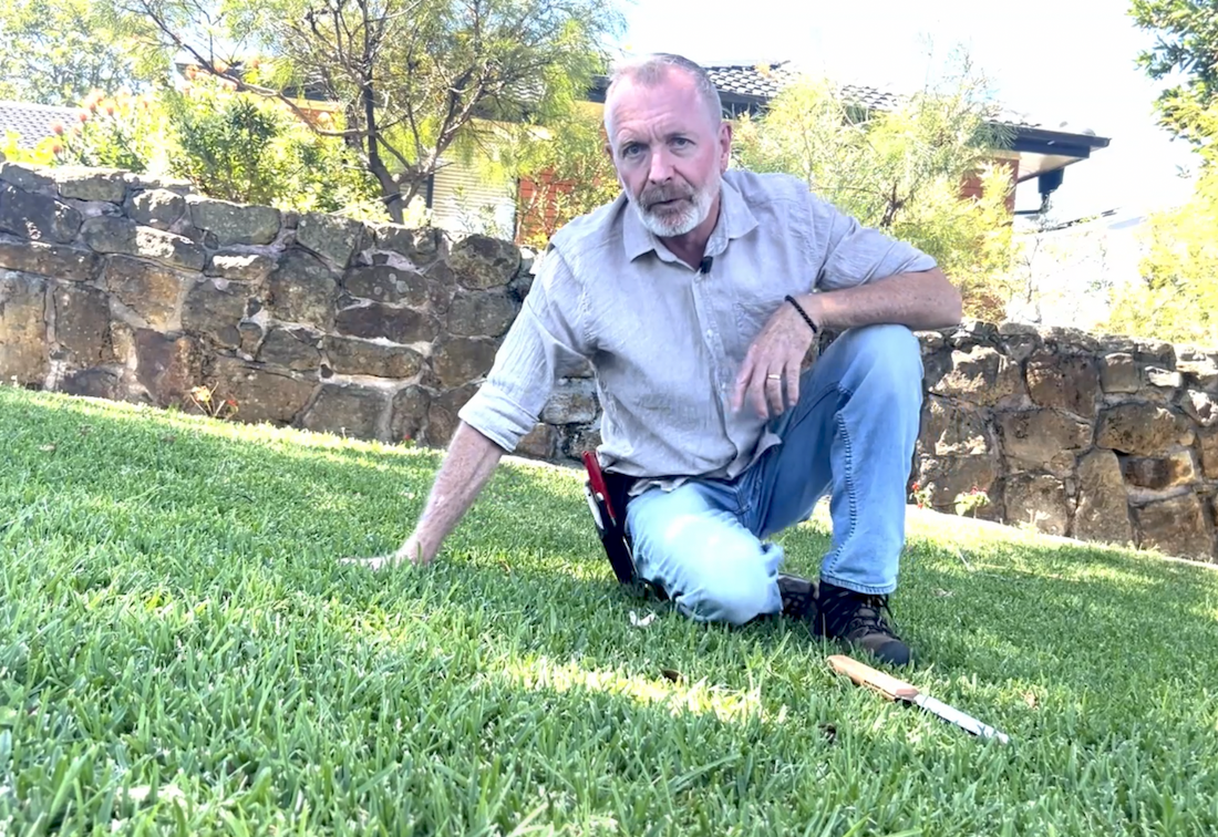 Getting your lawn summer-ready with John Gabriele
