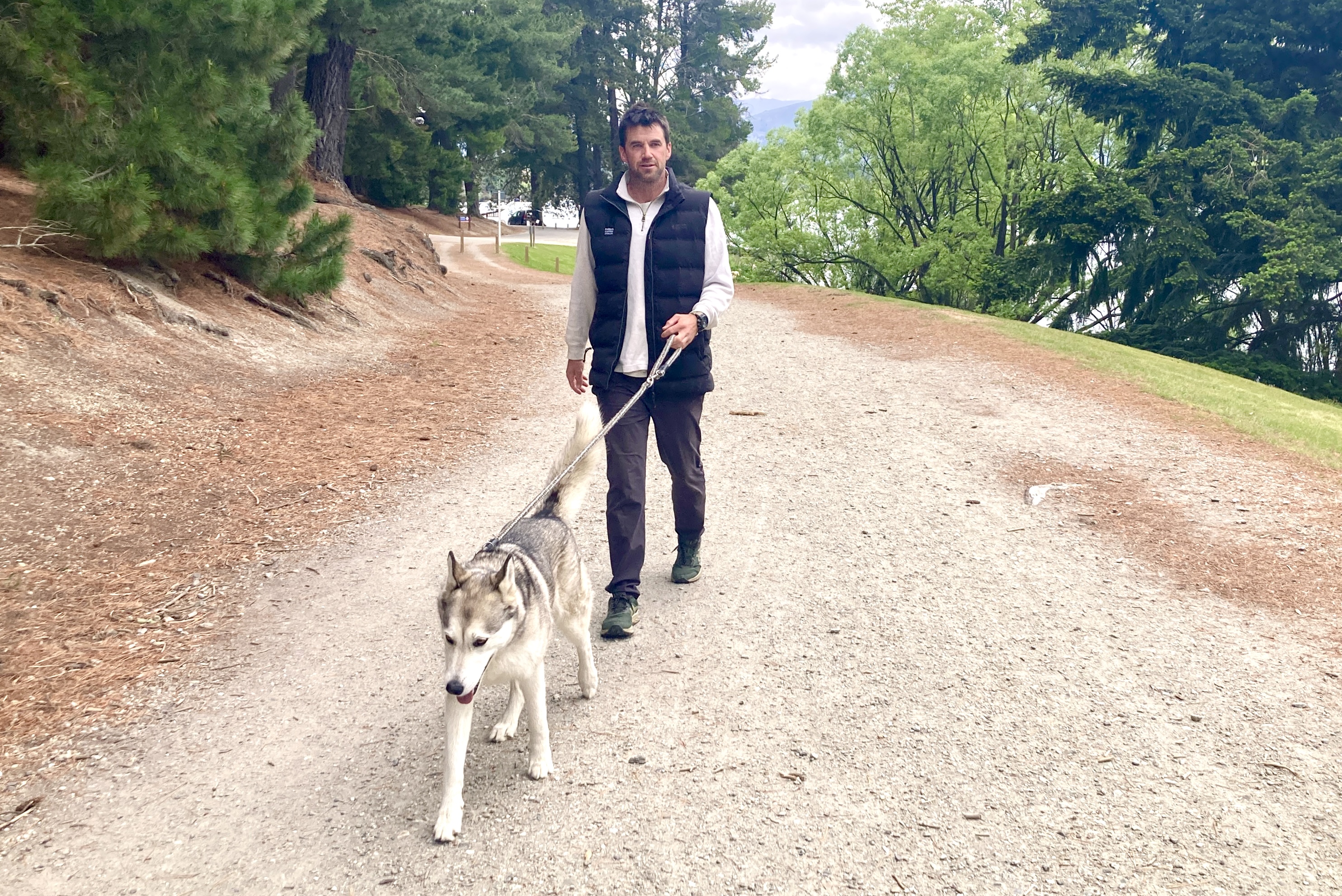 Dog control bylaw under review