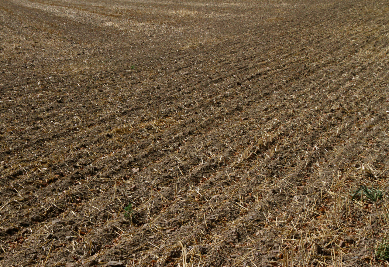 State Government reduces drought loan interest rate by 1 per cent