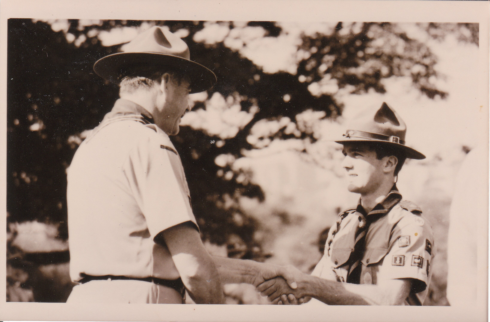 Tricks all round: Seven wickets in seven balls