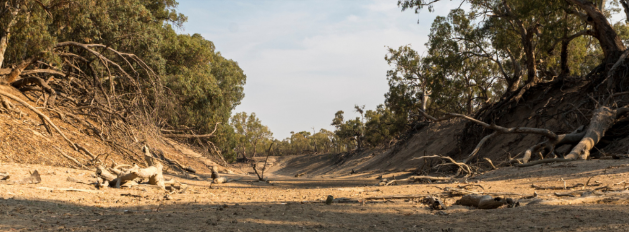 NSW launches toughest-ever crackdown on water theft