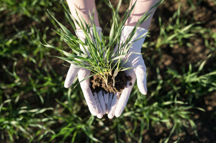 Tackling roadside weed resistance, from both sides of the fence