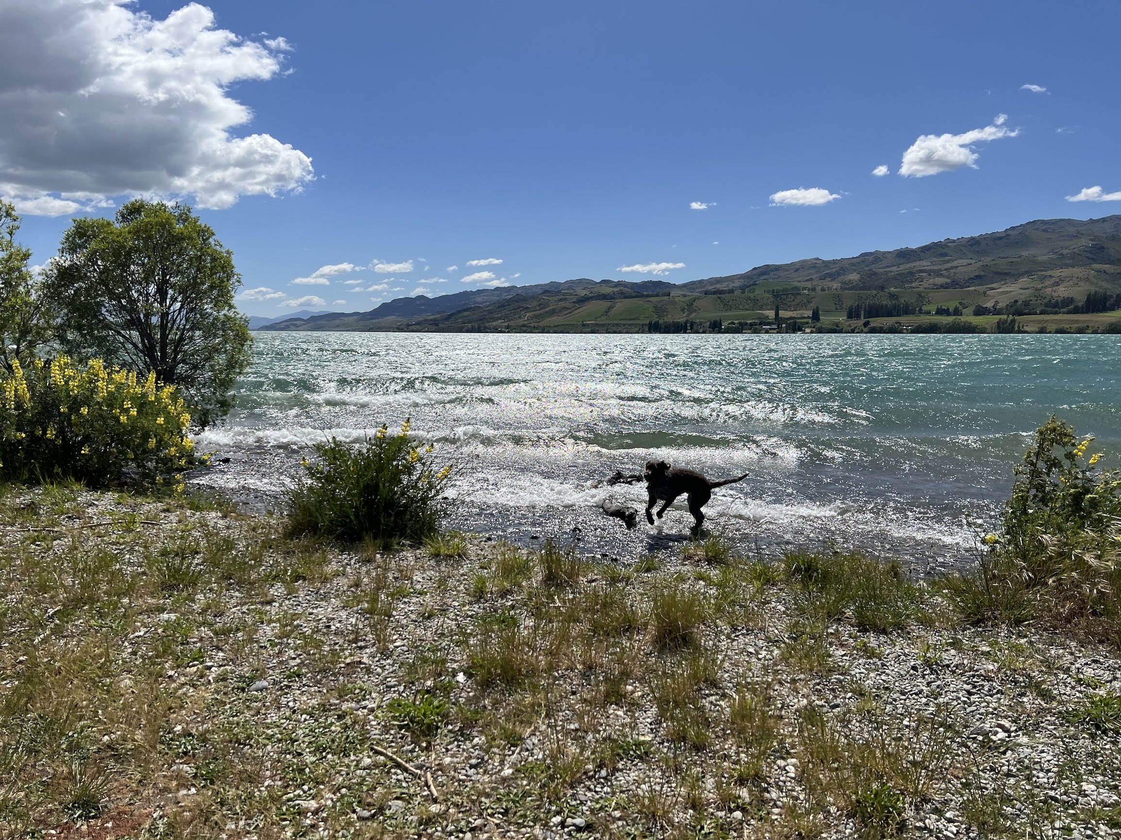 Warm, breezy summer ahead for Central Otago: MetService 