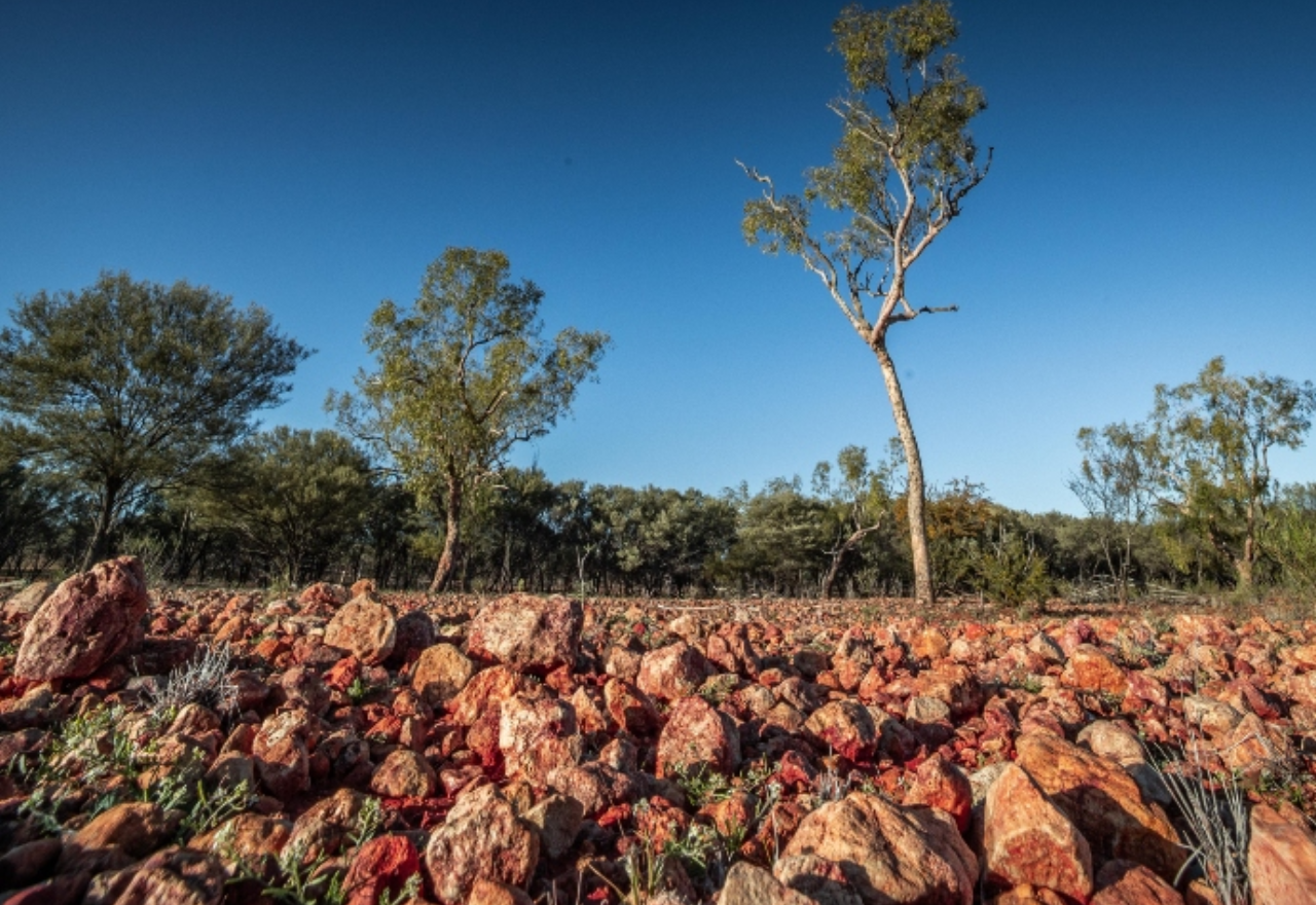 Bourke Mayor off to Sydney over national parks