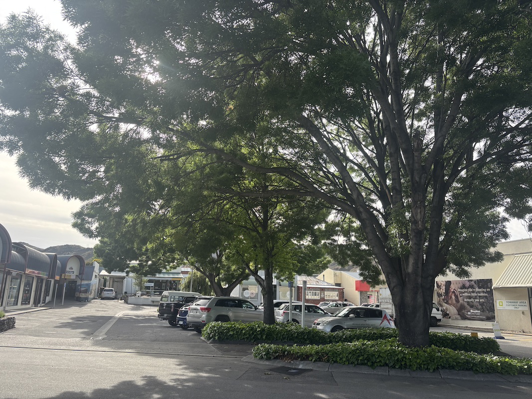 Centrepoint carpark trees to get the chop after 10 year battle