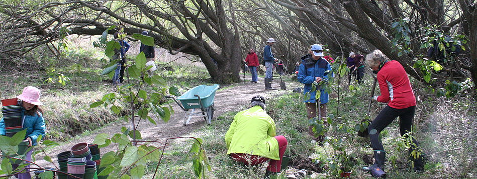 Young scholars learn about community-led sustainability