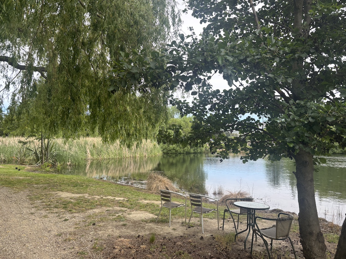 Aronui Dam weed removal planned for summer