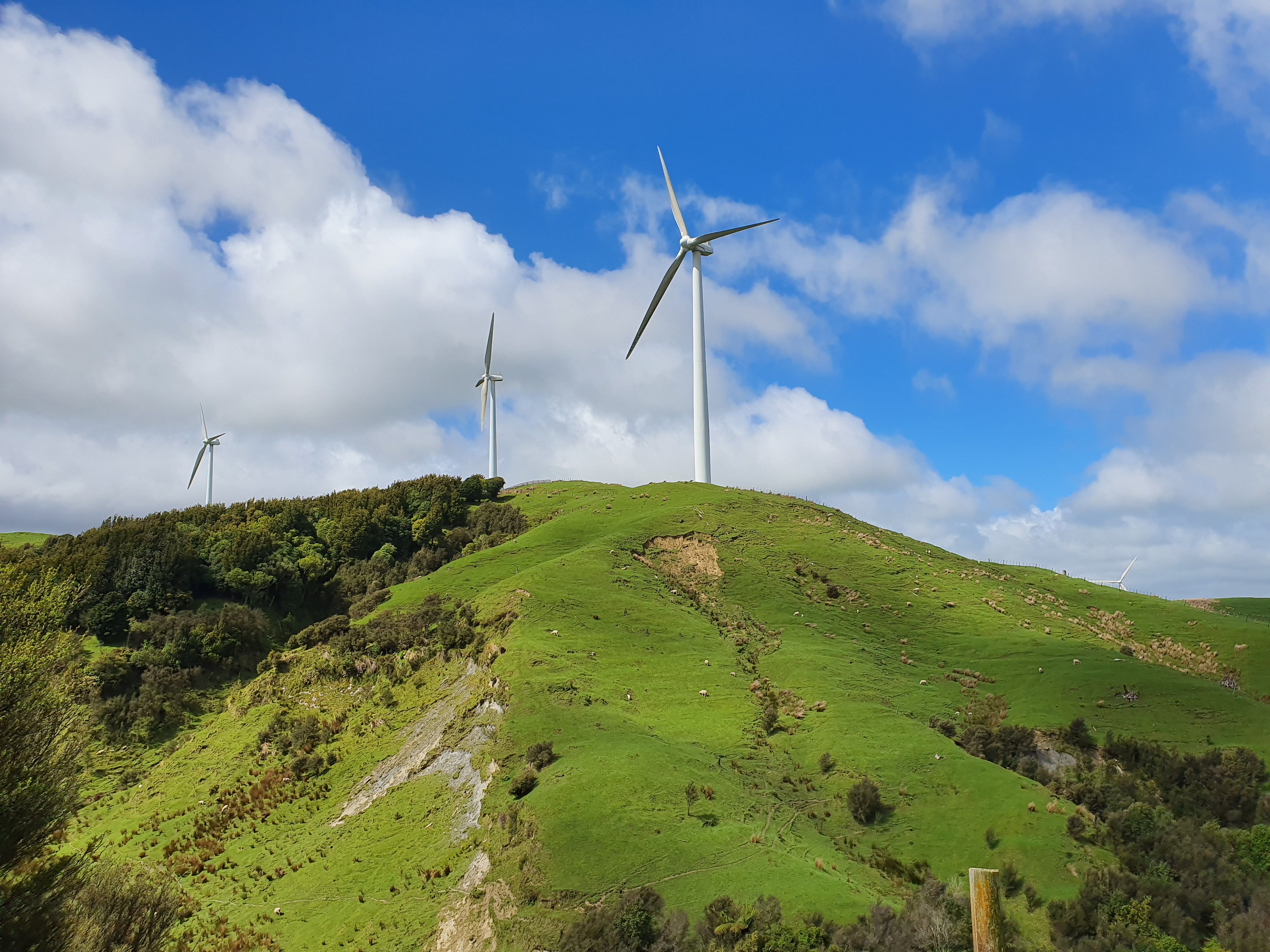 Southland windfarm plan moves through Fast Track process