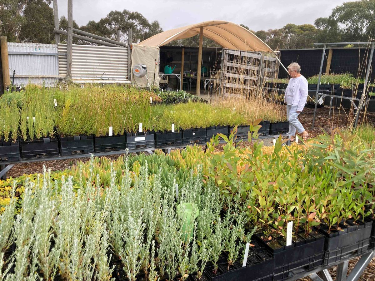 The Fleurieu adapts to a dry future